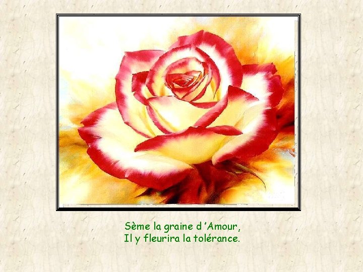 Sème la graine d ’Amour, Il y fleurira la tolérance. 