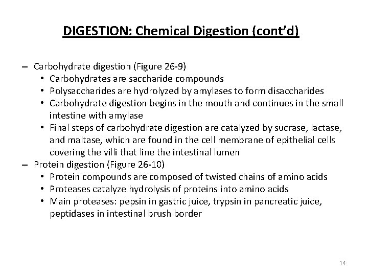 DIGESTION: Chemical Digestion (cont’d) – Carbohydrate digestion (Figure 26 -9) • Carbohydrates are saccharide
