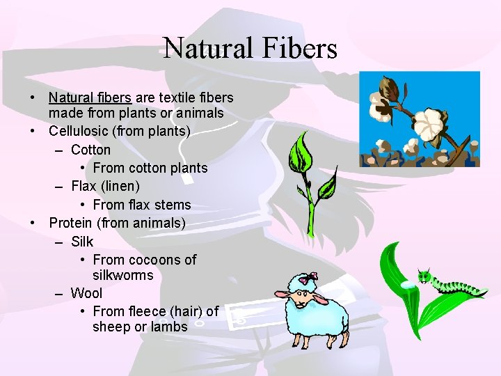 Natural Fibers • Natural fibers are textile fibers made from plants or animals •