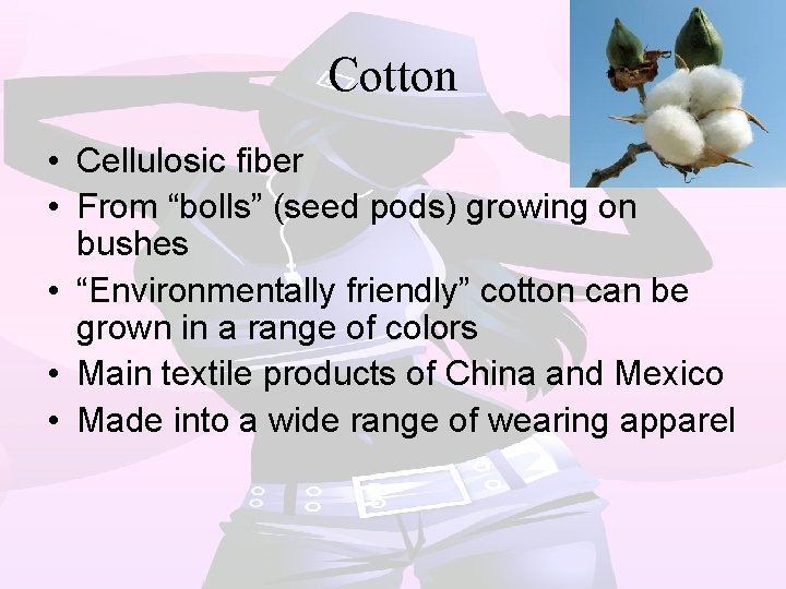 Cotton • Cellulosic fiber • From “bolls” (seed pods) growing on bushes • “Environmentally