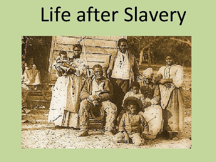 Life after Slavery 