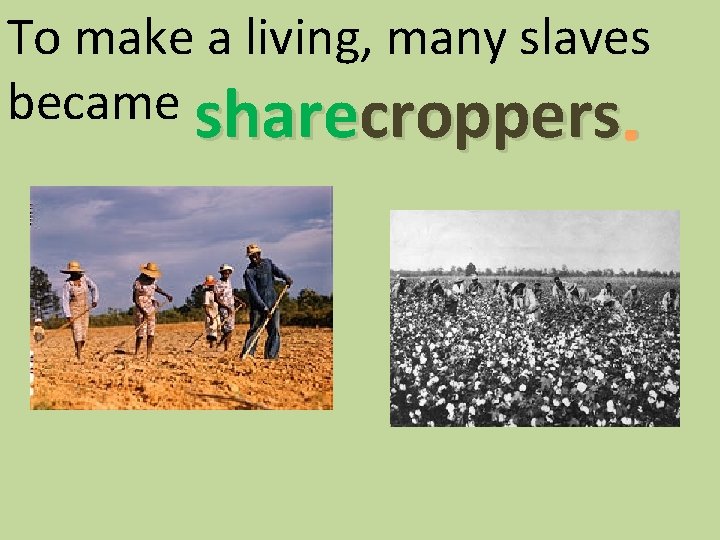 To make a living, many slaves became sharecroppers. 