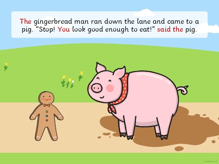 The gingerbread man ran down the lane and came to a pig. “Stop! You