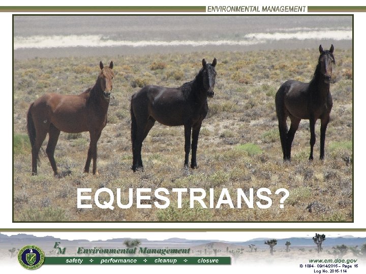 EQUESTRIANS? ID 1094 - 09/14/2015 – Page 15 Page. No. 15 Title Log 2015