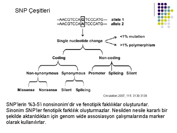 SNP Çeşitleri Circulation. 2007; 115: 3130 -3138 SNP’lerin %3 -5’i nonsinonim’dir ve fenotipik faklılıklar