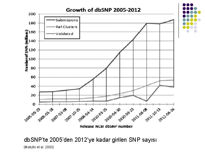 db. SNP’te 2005’den 2012’ye kadar girilen SNP sayısı (Matullo et al. 2003) 