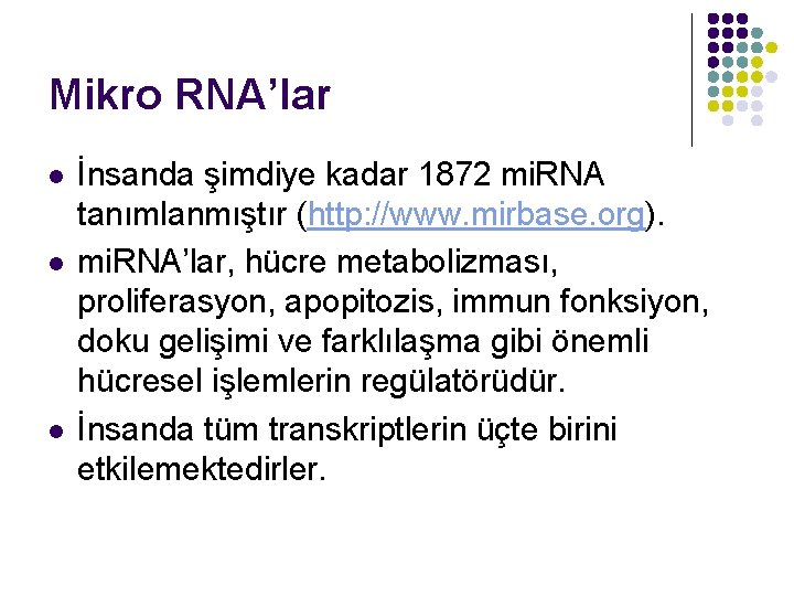 Mikro RNA’lar l l l İnsanda şimdiye kadar 1872 mi. RNA tanımlanmıştır (http: //www.