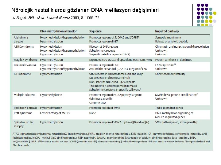 Nörolojik hastalıklarda gözlenen DNA metilasyon değişimleri Urdinguio RG. , et al. , Lancet Neurol