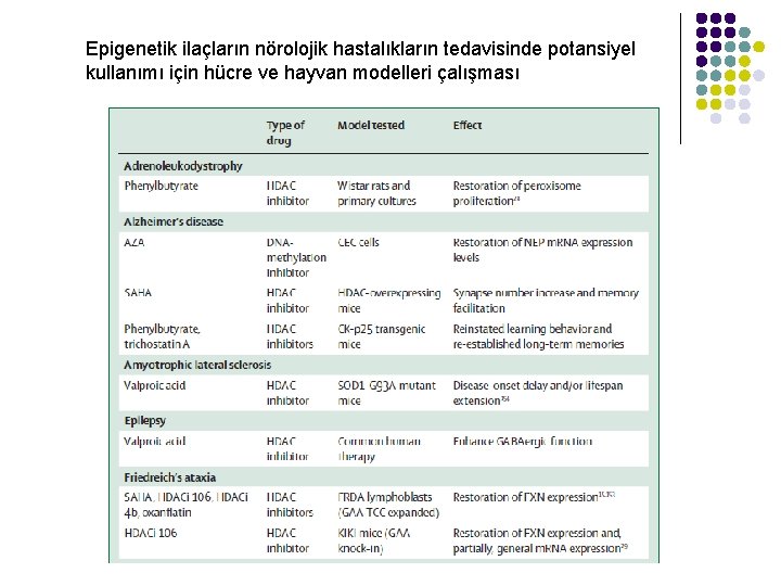 Epigenetik ilaçların nörolojik hastalıkların tedavisinde potansiyel kullanımı için hücre ve hayvan modelleri çalışması 