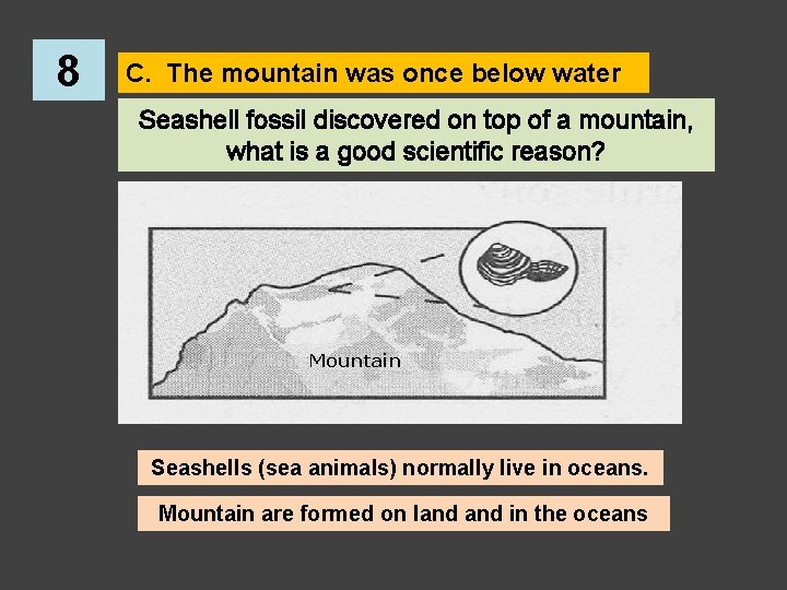 8 C. The mountain was once below water Seashell fossil discovered on top of