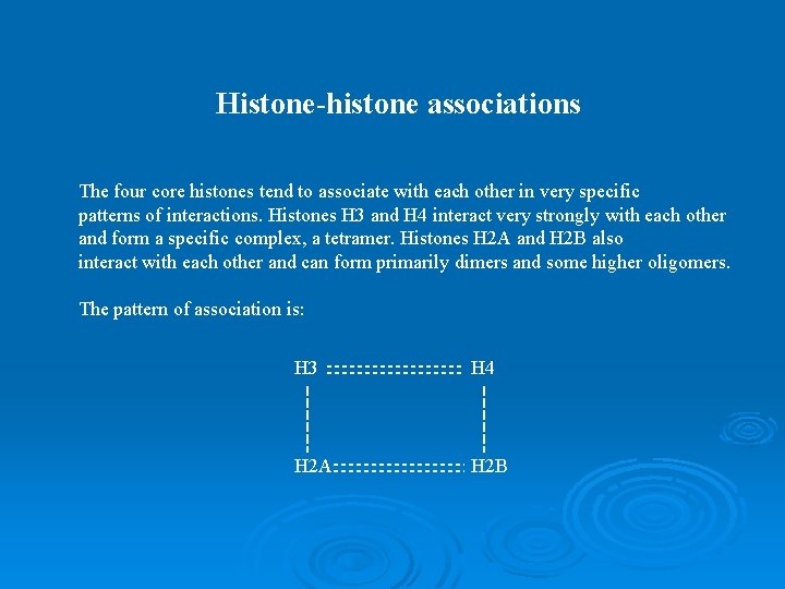 Histone-histone associations The four core histones tend to associate with each other in very