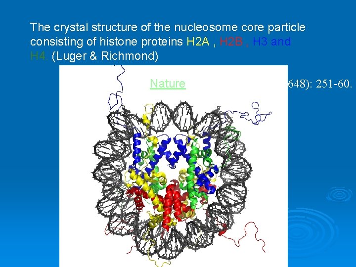 The crystal structure of the nucleosome core particle consisting of histone proteins H 2
