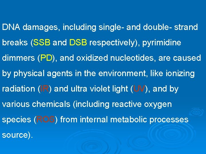 DNA damages, including single- and double- strand breaks (SSB and DSB respectively), pyrimidine dimmers