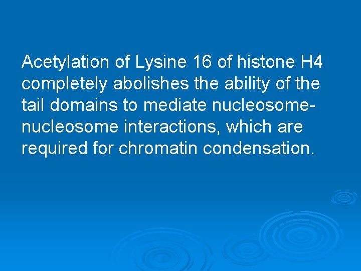 Acetylation of Lysine 16 of histone H 4 completely abolishes the ability of the