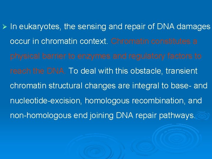 Ø In eukaryotes, the sensing and repair of DNA damages occur in chromatin context.