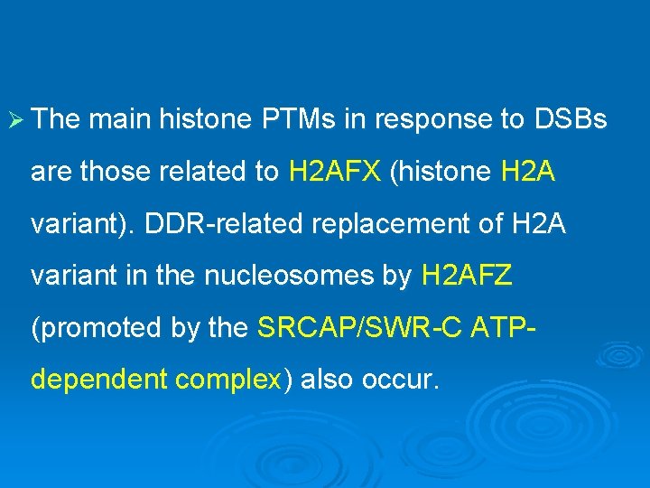 Ø The main histone PTMs in response to DSBs are those related to H