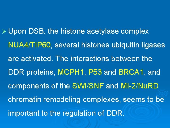 Ø Upon DSB, the histone acetylase complex NUA 4/TIP 60, several histones ubiquitin ligases