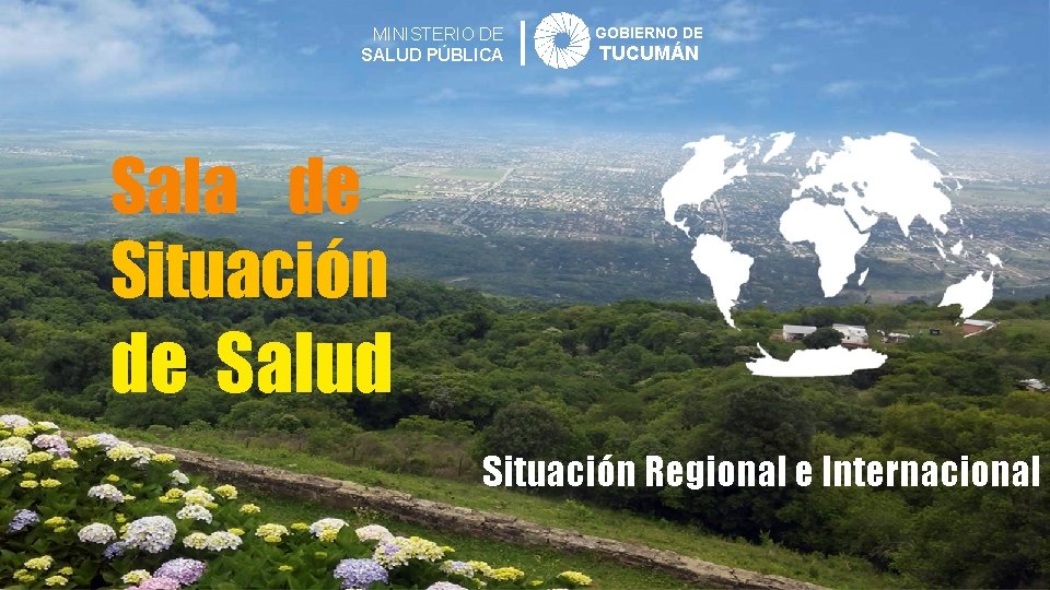 MINISTERIO DE SALUD PÚBLICA GOBIERNO DE TUCUMÁN Sala de Situación de Salud Situación Regional