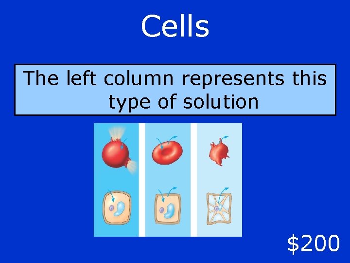 Cells The left column represents this type of solution $200 