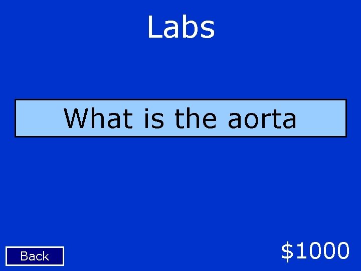 Labs What is the aorta Back $1000 