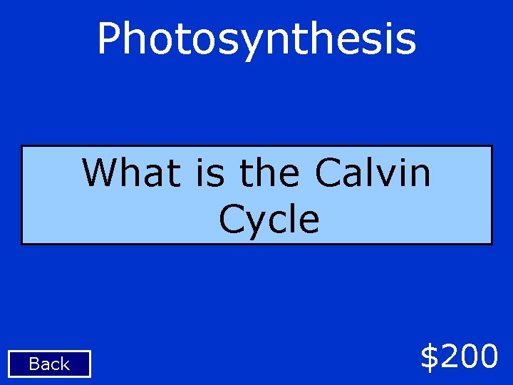 Photosynthesis What is the Calvin Cycle Back $200 