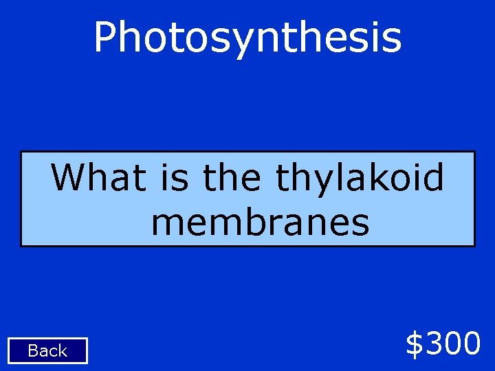 Photosynthesis What is the thylakoid membranes Back $300 
