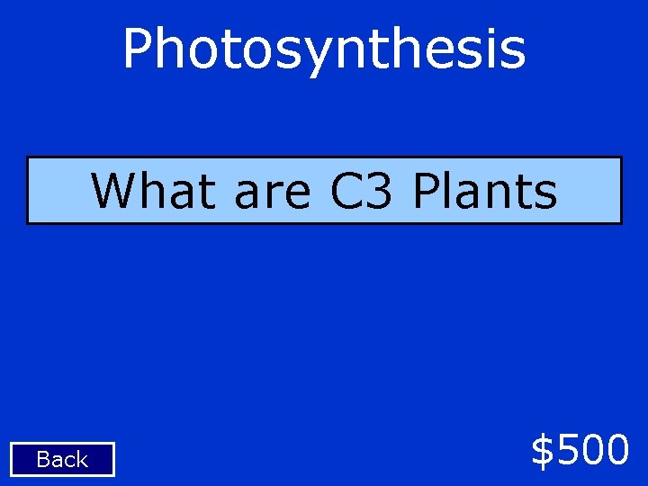 Photosynthesis What are C 3 Plants Back $500 