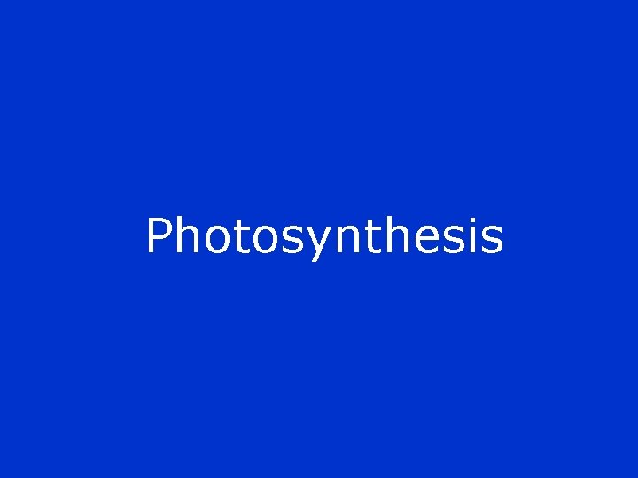 Photosynthesis 