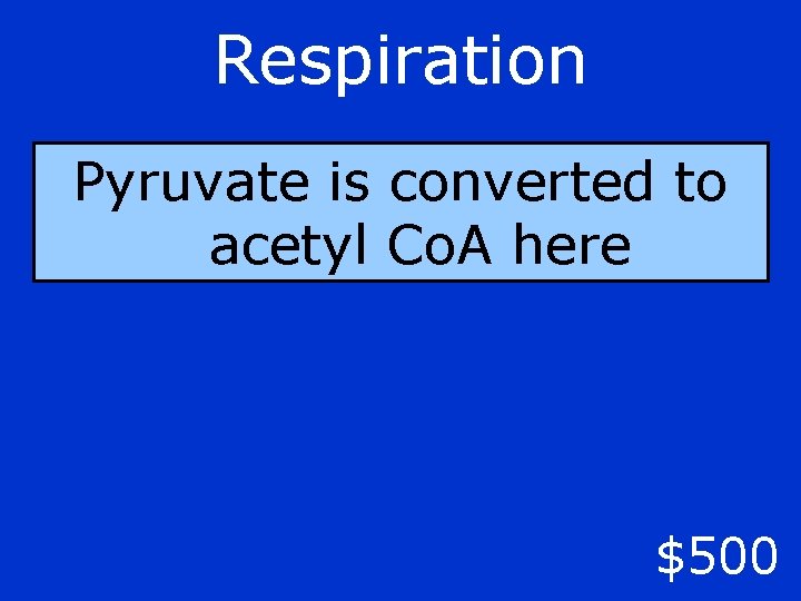 Respiration Pyruvate is converted to acetyl Co. A here $500 