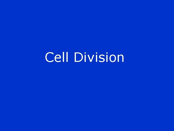 Cell Division 