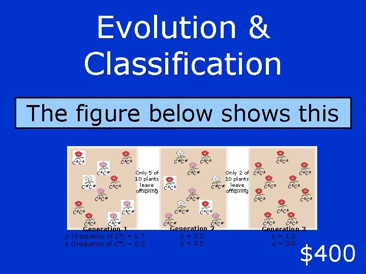 Evolution & Classification The figure below shows this CWCW CR CR Only 5 of