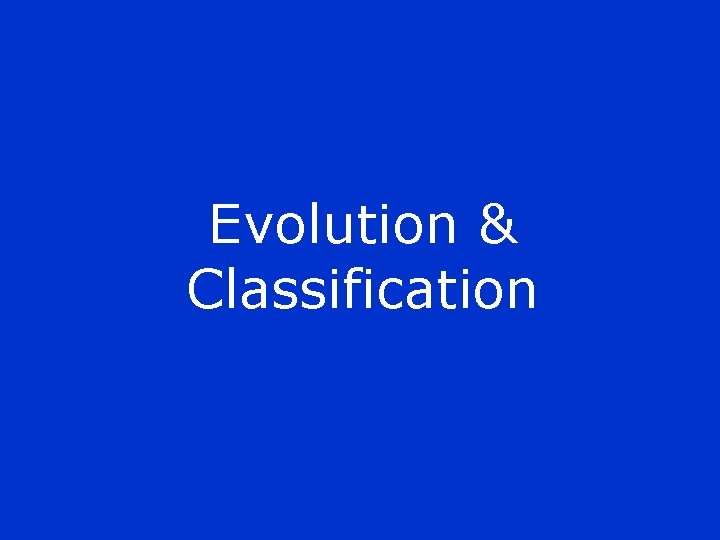 Evolution & Classification 