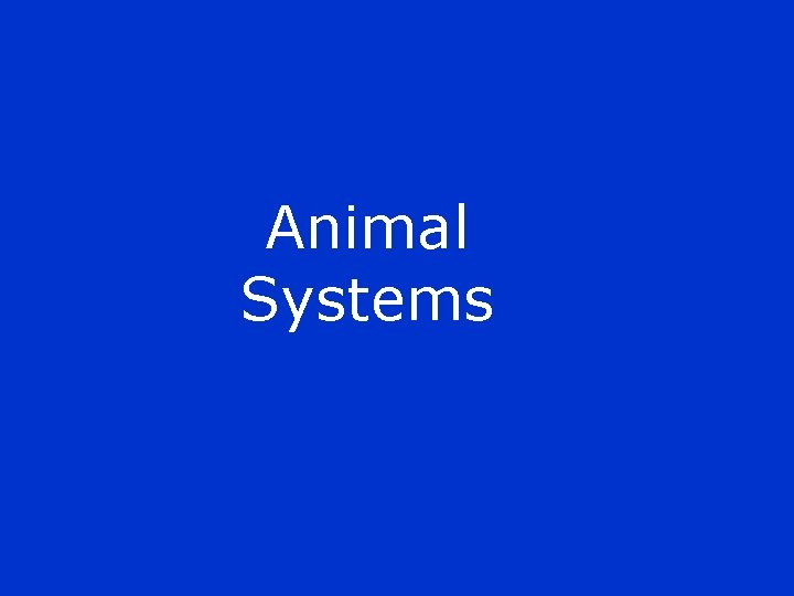 Animal Systems 