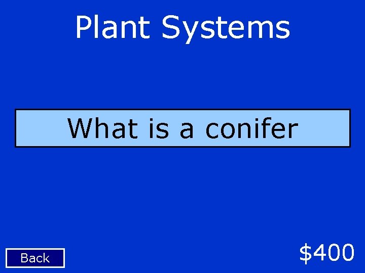 Plant Systems What is a conifer Back $400 