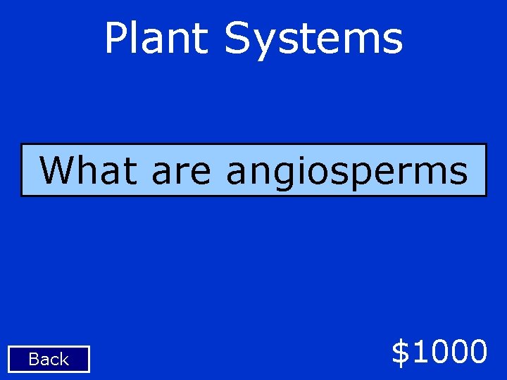 Plant Systems What are angiosperms Back $1000 
