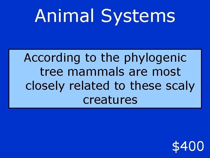 Animal Systems According to the phylogenic tree mammals are most closely related to these