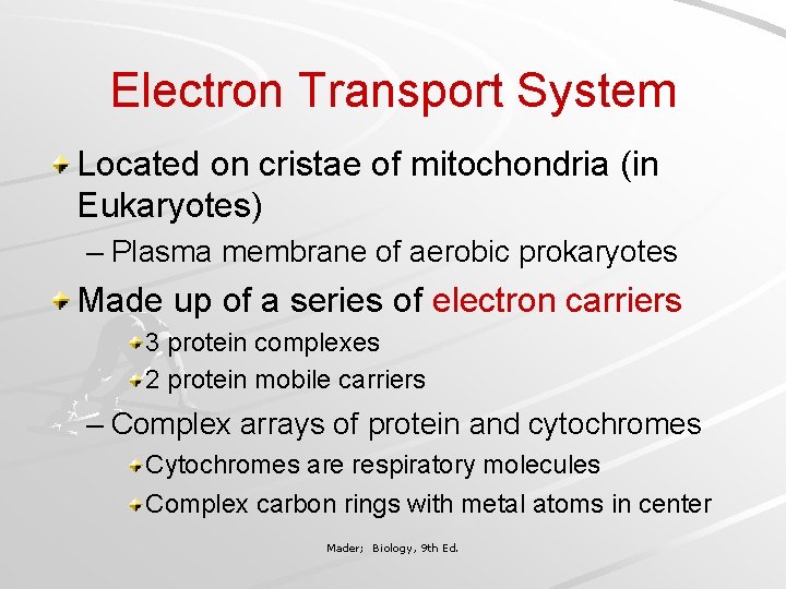 Electron Transport System Located on cristae of mitochondria (in Eukaryotes) – Plasma membrane of