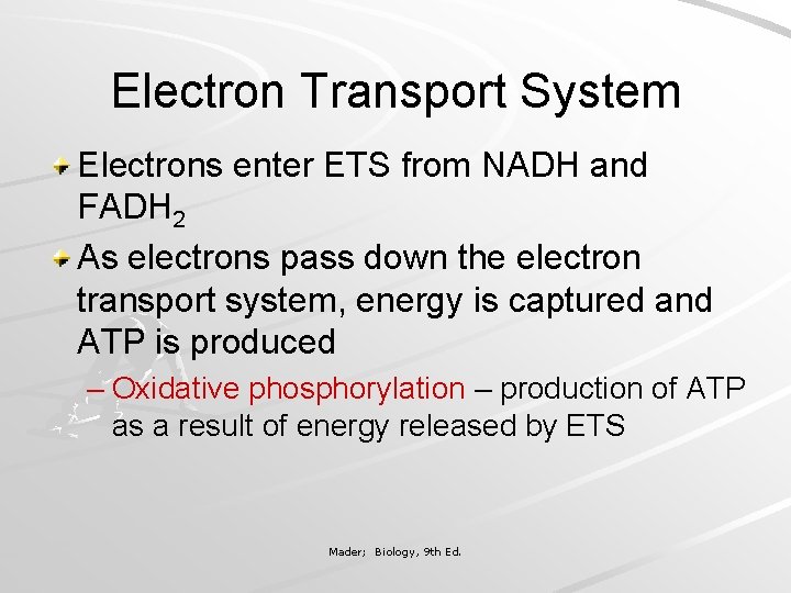 Electron Transport System Electrons enter ETS from NADH and FADH 2 As electrons pass