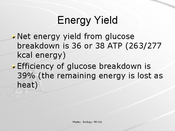 Energy Yield Net energy yield from glucose breakdown is 36 or 38 ATP (263/277