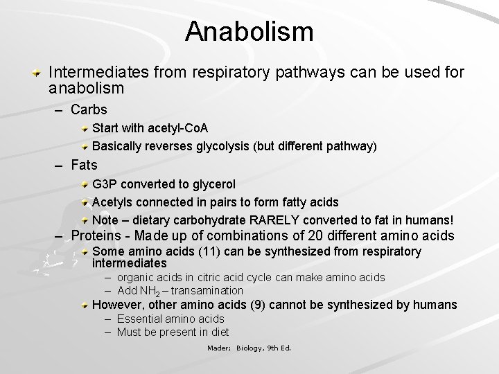 Anabolism Intermediates from respiratory pathways can be used for anabolism – Carbs Start with