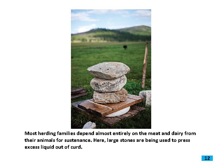 Most herding families depend almost entirely on the meat and dairy from their animals