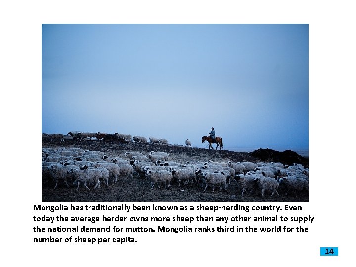 Mongolia has traditionally been known as a sheep-herding country. Even today the average herder