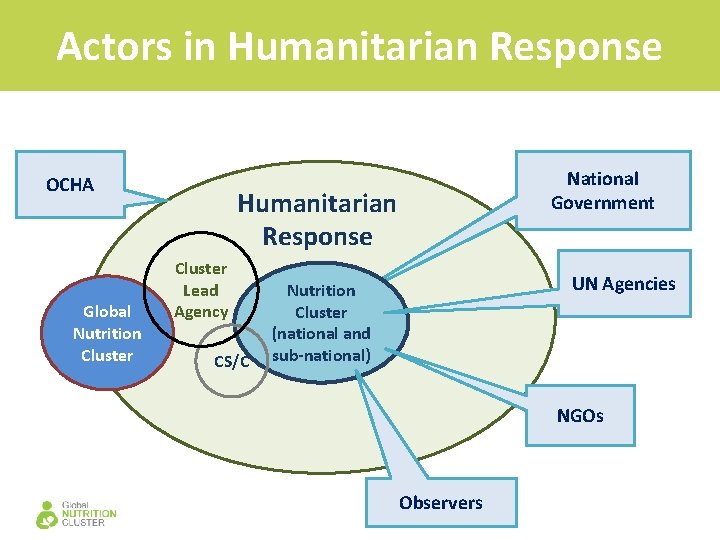 1 4 Nutrition Cluster Structures Objectives of this