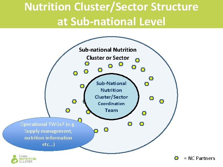 1 4 Nutrition Cluster Structures Objectives of this