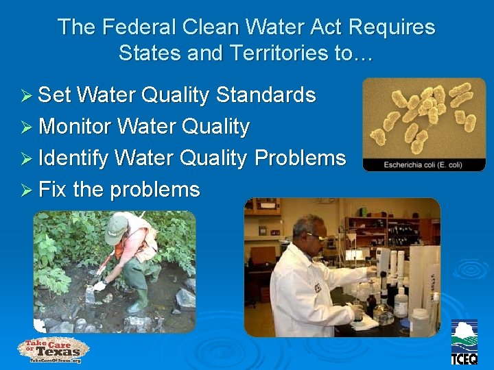 The Federal Clean Water Act Requires States and Territories to… Ø Set Water Quality