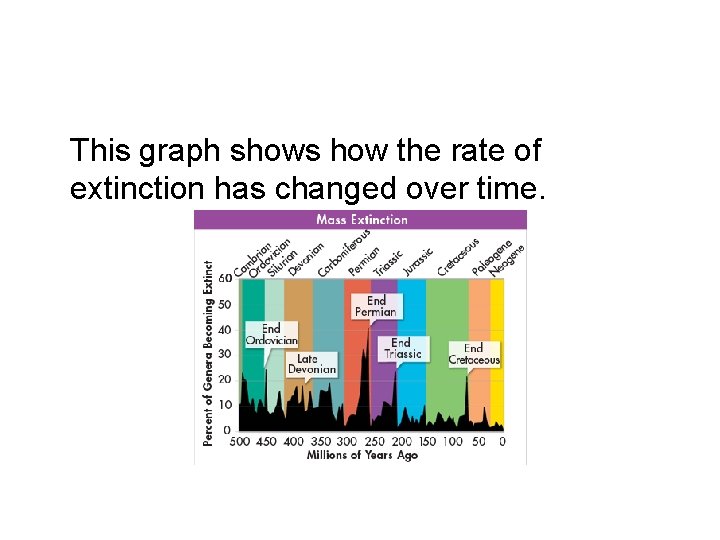 This graph shows how the rate of extinction has changed over time. 