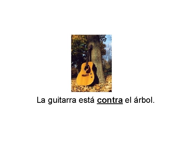 La guitarra está contra el árbol. 