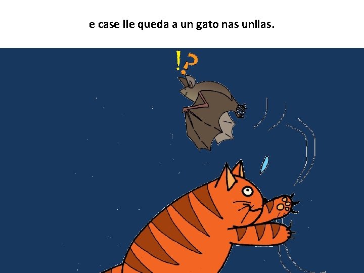 e case lle queda a un gato nas unllas. 