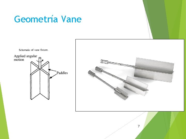 Geometría Vane 7 