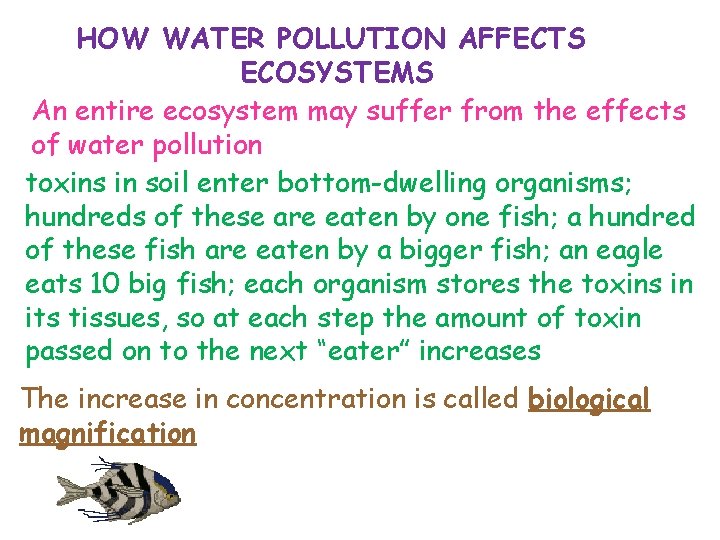HOW WATER POLLUTION AFFECTS ECOSYSTEMS An entire ecosystem may suffer from the effects of